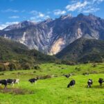 Vùng đất dưới những ngọn gió ở Malaysia qua “Feel Sabah” – Hành trình khám phá đầy kỳ thú